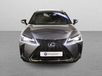 Used Lexus UX 250h Sport Line 184 HP (135 kW) 2021 Grey SUV