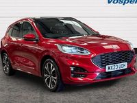 Used Ford Kuga ST-Line X 150 HP (110 kW) 2023 Red SUV