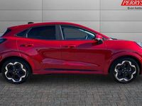 Used Ford Puma Premium 167 HP (122 kW) 2025 SUV