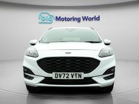Used Ford Kuga ST-Line 225 HP (165 kW) 2022 White SUV