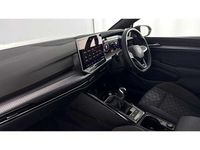 Used VW Golf VIII 150 HP (110 kW) 2025