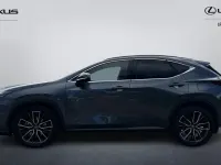 Used Lexus NX450h+ 2023 Grey SUV