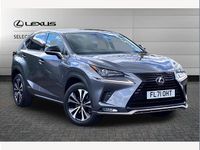 Used Lexus NX300h Sport Line 197 HP (144 kW) 2021 Grey SUV