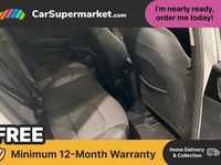 Used Kia Ceed Sportswagon 140 HP (102 kW) 2024 Estate