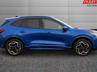 Used Ford Kuga ST-Line X 242 HP (177 kW) 2025 SUV