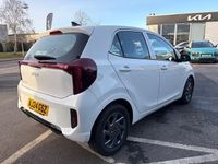 Used Kia Picanto 2024 White Hatchback