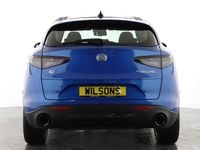 New Alfa Romeo Stelvio Sprint 2025 SUV