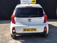Used Kia Picanto 65 HP (47 kW) 2016 White Hatchback