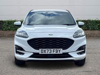 Used Ford Kuga ST-Line 190 HP (139 kW) 2023 SUV