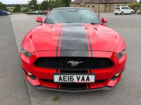 Used Ford Mustang Fastback 317 HP (233 kW) 2016 Red Coupe