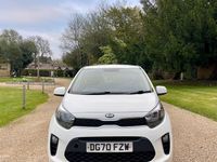 Used Kia Picanto 66 HP (48 kW) 2020 White Hatchback