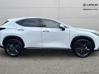 Used Lexus NX350h 194 HP (142 kW) 2025 White SUV