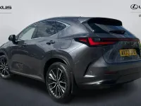 Used Lexus NX450h+ 2023 Grey SUV