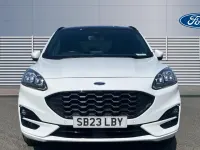 Used Ford Kuga ST-Line X 190 HP (139 kW) 2023 White SUV