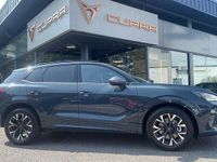 Used Cupra Terramar 2025 Blue SUV