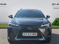 Used Lexus UX 150 kW (204 HP) 2022 SUV