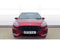 Used Ford Kuga ST-Line X 190 HP (139 kW) 2023 Red SUV