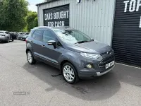 Used Ford Ecosport Titanium 95 HP (69 kW) 2017 Grey SUV