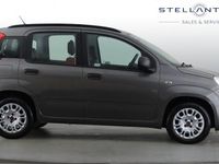 Used Fiat Panda Easy 69 HP (50 kW) 2019 Grey Hatchback