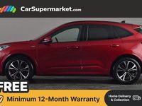 Used Ford Kuga ST-Line X 150 HP (110 kW) 2023 SUV