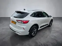 Used Ford Kuga ST-Line 225 HP (165 kW) 2023 White SUV