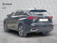 Used Lexus NX300h Sport Line 2020 Black SUV