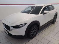 Begagnad Mazda CX-30 Prime-Line 2024 Vit SUV