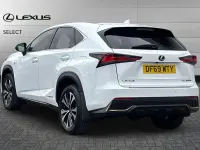 Used Lexus NX300h Sport Line 194 HP (142 kW) 2020 F sport white SUV