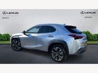 Used Lexus UX 300h 2024 Silver SUV