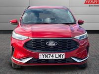 Used Ford Kuga ST-Line 242 HP (177 kW) 2025 SUV