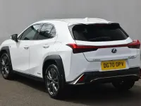 Used Lexus UX 250h Sport Line 2020 White SUV