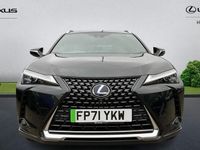 Used Lexus UX 150 kW (204 HP) 2022 SUV