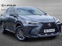 Used Lexus NX450h+ 309 HP (227 kW) 2025 Grey SUV