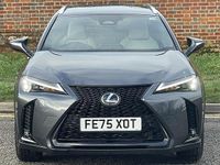 Used Lexus UX 300h Sport Design Packet 2025 Grey SUV
