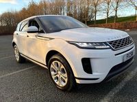 Used Land Rover Range Rover evoque S 180 HP (132 kW) 2019 White SUV