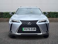 New Lexus UX 300e 150 kW (204 HP) 2025 Silver SUV