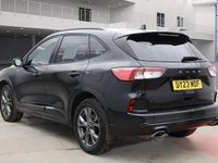 Used Ford Kuga ST-Line 225 HP (165 kW) 2023 Black SUV