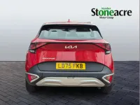 Used Kia Sportage 157 HP (115 kW) 2025 Red SUV