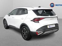 Used Kia Sportage 159 HP (116 kW) 2024 SUV