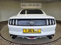 Used Ford Mustang GT Fastback 416 HP (305 kW) 2016 White Coupe