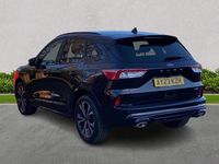 Used Ford Kuga ST-Line X 2023 Black SUV
