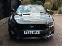 Used Ford Mustang Convertible 317 HP (233 kW) 2016 Green Cabriolet