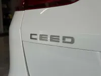 Used Kia Ceed 158 HP (116 kW) 2023 White Hatchback