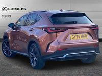 Used Lexus NX450h+ Sport Line 292 HP (214 kW) 2025 Sonic copper SUV