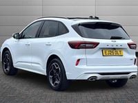 Used Ford Kuga ST-Line X 183 HP (134 kW) 2025 Frozen white SUV