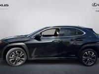 Used Lexus UX 250h 184 HP (135 kW) 2024 SUV
