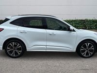 Used Ford Kuga ST-Line X 190 HP (139 kW) 2023 SUV