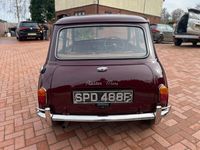 used Austin Mini 