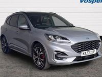 Used Ford Kuga ST-Line X 150 HP (110 kW) 2023 Silver SUV