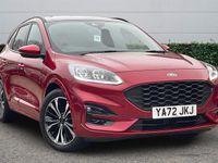 Used Ford Kuga ST-Line X 190 HP (139 kW) 2023 SUV